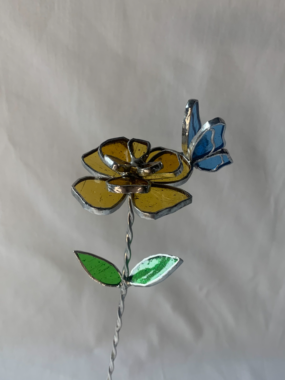 Rose jaune avec papillon bleu